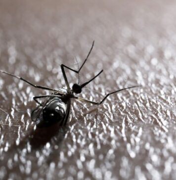 Delusional Infestation Surges During COVID-19 Pandemic | Nutrition Fit