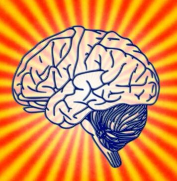 Sounds Influence the Developing Brain Earlier Than Previously Thought | Nutrition Fit