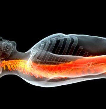 Scientists Repair Injured Spinal Cord Using Patients’ Own Stem Cells | Nutrition Fit
