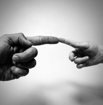 How the Brain Makes Sense of Touch | Nutrition Fit