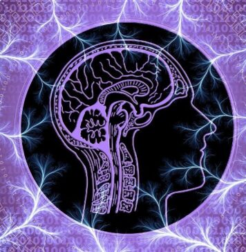 How the Human Brain May Tap Into Visual Cues When Lacking a Sense of Touch | Nutrition Fit