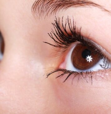 How Our Visual System Avoids Overloading | Nutrition Fit