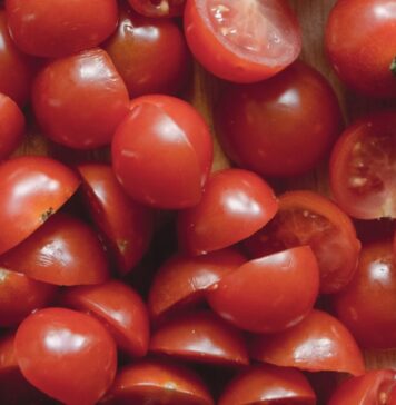 Dr. Gundry’s The Plant Paradox Is Wrong | Nutrition Fit