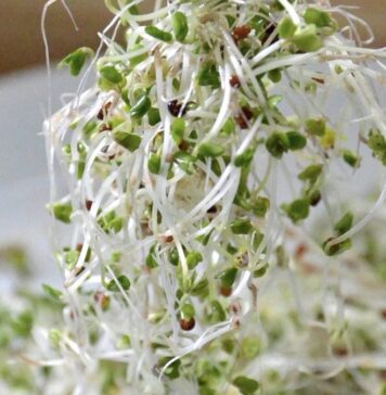 Fever Benefits for Autism in a Food | Nutrition Fit