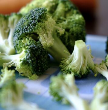 Fighting Autism Brain Inflammation with Food | Nutrition Fit