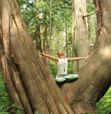 New Beginnings, Balance & Creativity | Nutrition Fit