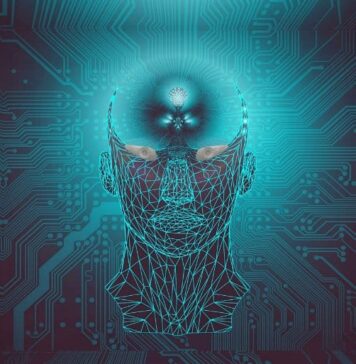 New Brain Sensor Offers Alzheimer’s Answers | Nutrition Fit