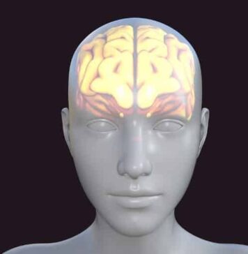 Common Alzheimer’s Treatment Linked to Slower Cognitive Decline | Nutrition Fit