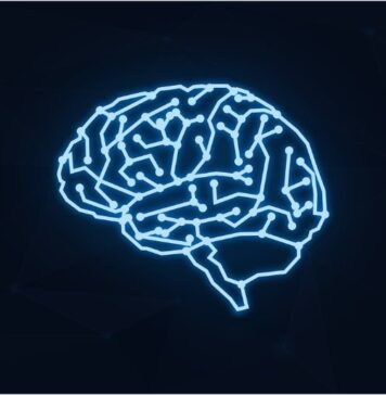 Anabolic Androgenic Steroids Accelerate Brain Aging | Nutrition Fit