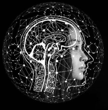 Anti-Hyperlipidemia Drug Improves Brain Connectivity Schizophrenia | Nutrition Fit