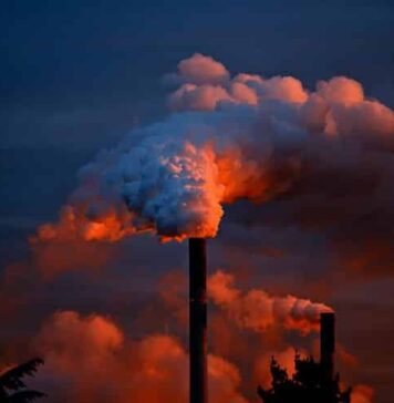 Eight Ways Chemical Pollutants Harm the Body | Nutrition Fit