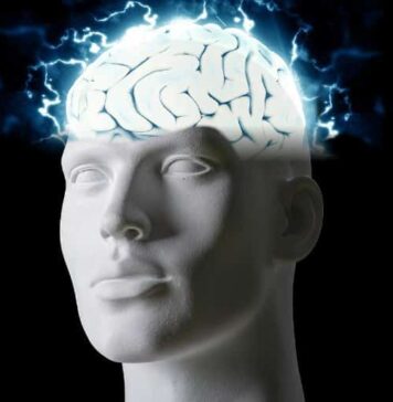 Cognitive Fatigue Changes Functional Connectivity in Brain’s Fatigue Network | Nutrition Fit