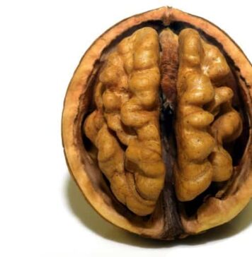 Custom Diets Are Essential to Mental Health | Nutrition Fit