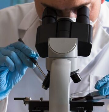 Four Small Cell Lung Cancer Subtypes and Their Best Therapies | Nutrition Fit