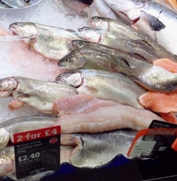 Eating Fish Links With Fewer CVD Events in High-Risk People | Nutrition Fit