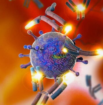 Companies Seek EUA for New COVID Monoclonal Antibody Treatment | Nutrition Fit