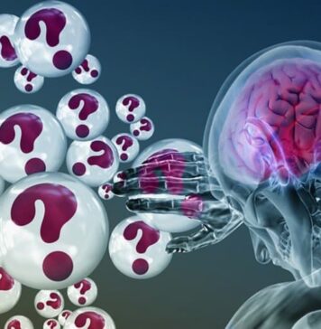Think the Brain Is Always Efficient? Think Again | Nutrition Fit