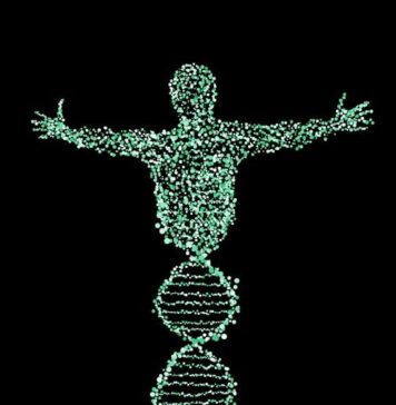 New Technique Reveals Genes Underlying Human Evolution | Nutrition Fit