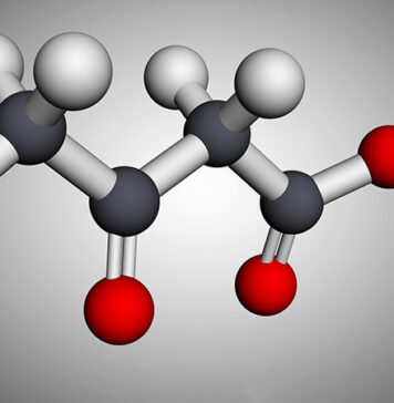 A Novel Intervention for CVD? | Nutrition Fit