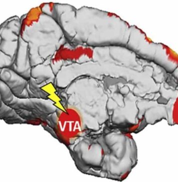 How the Brain Learns From Subconscious Stimuli | Nutrition Fit