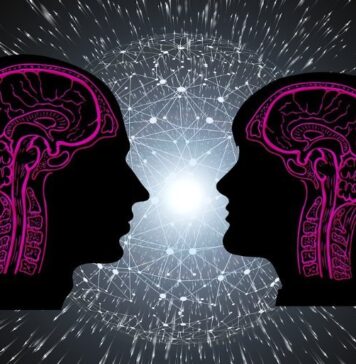 Are There Differences in the Brains of Autistic Men and Women? | Nutrition Fit