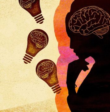 A New Theory for How Memories Are Stored in the Brain | Nutrition Fit
