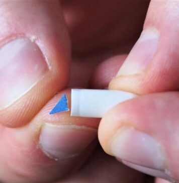 Placebo Effect May Explain Reported Benefits of Psychedelic Microdoses | Nutrition Fit