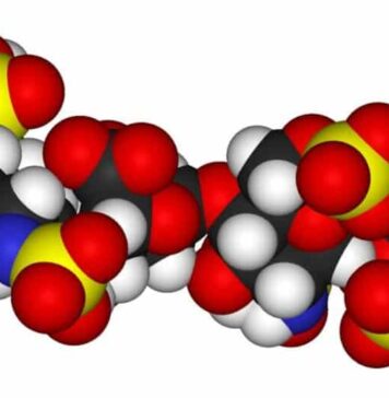 Time Needed to Sequence Key Molecules Could Be Reduced From Years to Minutes | Nutrition Fit
