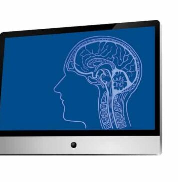 Neuroimaging Reveals How Ideology Affects Race Perception | Nutrition Fit