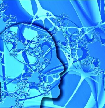 Dozens of Genes That Block Regeneration of Neurons | Nutrition Fit