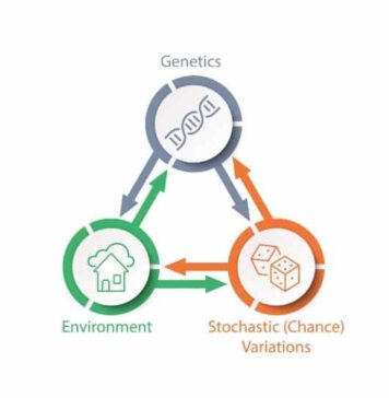 Beyond Genes and Environment, Random Variations Play Important Role in Longevity | Nutrition Fit