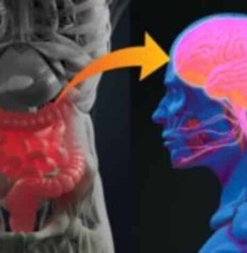 Defining the Parkinson’s Microbiome Strengthens Links to Gut Health | Nutrition Fit