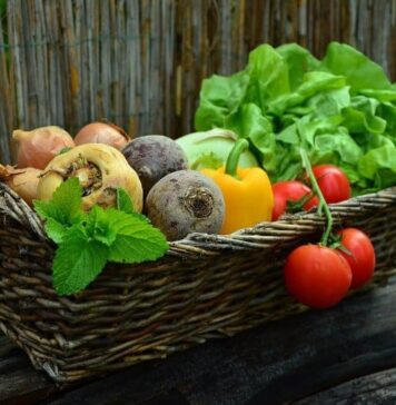 Diet High in Healthful Plant-Based Food May Reduce Risk of Stroke by 10% | Nutrition Fit