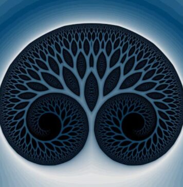 Psychedelic Drugs: How the Brains of Informed Users Are Different | Nutrition Fit