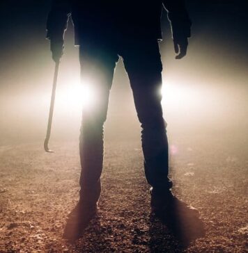 The Preferred Jobs of Serial Killers and Psychopaths | Nutrition Fit