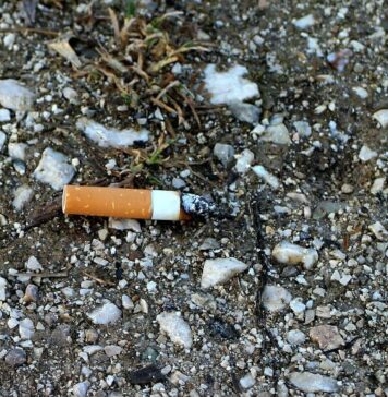 Quitting Smoking Linked to Improved Mental Health | Nutrition Fit