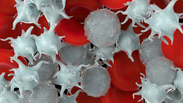 shs_210304_blood_platelets_800x450.jpg