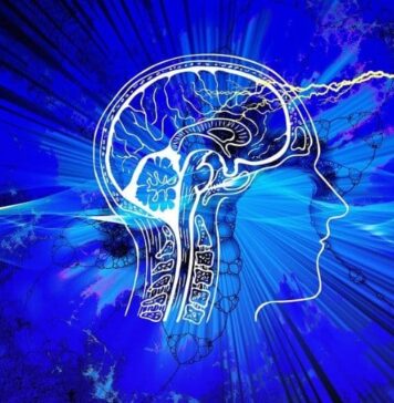 Adding Omega-3 Based Medication to Statins May Lower Stroke Risk | Nutrition Fit