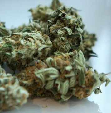 The Ultimate Guide to CBD Hemp Flower: Sour Space Candy vs. Cowdaddy Crush: