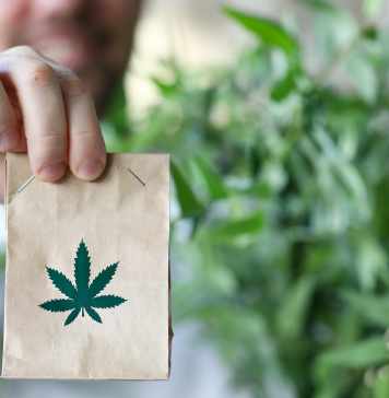 How Veteran Medical Marijuana Cards Are Different from Regular Medical Marijuana Cards and Why Does It Matters?