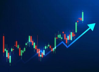Building a Balanced Portfolio with Nifty IT Heavyweights